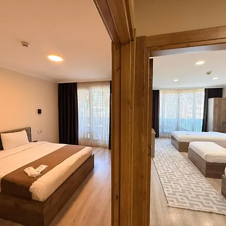 Hotel Rena Grand & *