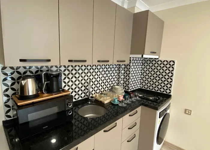 酒店 Rena Grand & 特拉布宗